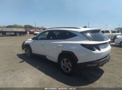 2023 HYUNDAI TUCSON SEL White  Gasoline 5NMJBCAE3PH182474 photo #4