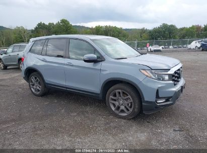 2022 HONDA PASSPORT AWD EX-L Blue  Gasoline 5FNYF8H52NB004477 photo #1