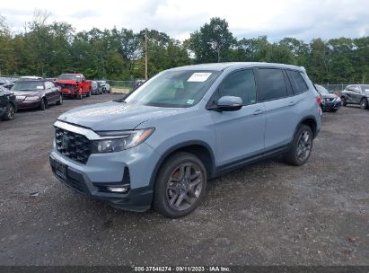 2022 HONDA PASSPORT AWD EX-L Blue  Gasoline 5FNYF8H52NB004477 photo #3