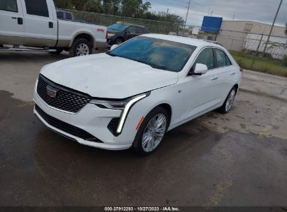 2023 CADILLAC CT4 PREMIUM LUXURY White  Gasoline 1G6DF5RK3P0119451 photo #3