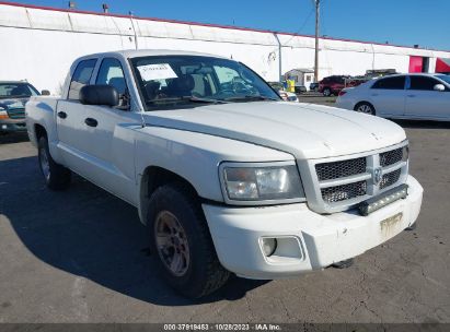 2009 DODGE DAKOTA BIGHORN/LONESTAR White  Gasoline 1D3HW38K49S783518 photo #1