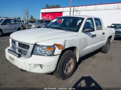 2009 DODGE DAKOTA BIGHORN/LONESTAR White  Gasoline 1D3HW38K49S783518 photo #3