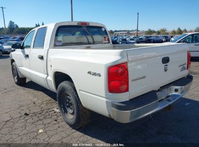 2009 DODGE DAKOTA BIGHORN/LONESTAR White  Gasoline 1D3HW38K49S783518 photo #4