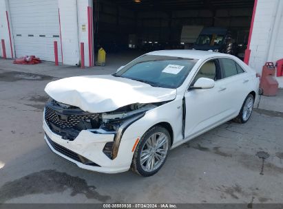 2024 CADILLAC CT4 PREMIUM LUXURY White  Gasoline 1G6DF5RK2R0107987 photo #3