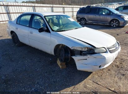 2005 CHEVROLET CLASSIC White  Gasoline 1G1ND52F85M130335 photo #1