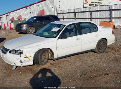 2005 CHEVROLET CLASSIC White  Gasoline 1G1ND52F85M130335 photo #3