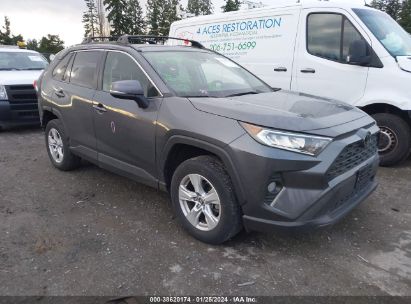 2019 TOYOTA RAV4 XLE Blue  Gasoline JTMW1RFV5KD509317 photo #1