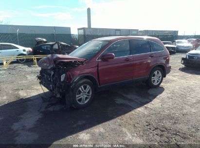 2010 HONDA CR-V EX-L Red  Gasoline JHLRE4H75AC012956 photo #3