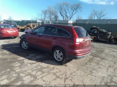 2010 HONDA CR-V EX-L Red  Gasoline JHLRE4H75AC012956 photo #4