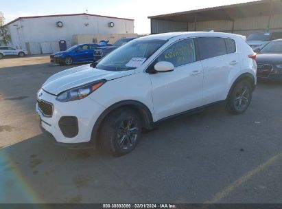 2017 KIA SPORTAGE LX White  Gasoline KNDPM3AC4H7170930 photo #3