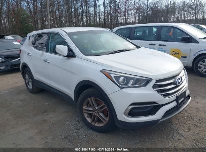 2017 HYUNDAI SANTA FE SPORT 2.4L White  Gasoline 5NMZTDLB7H8000155 photo #1