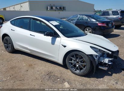 2023 TESLA MODEL 3 REAR-WHEEL DRIVE White  Electric 5YJ3E1EA7PF438239 photo #1