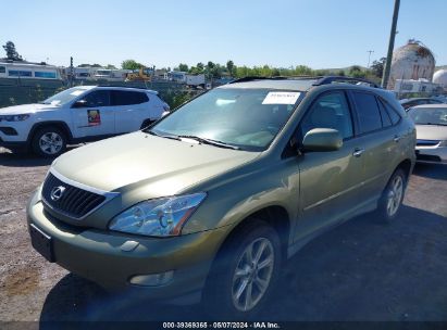 2008 LEXUS RX 350 Green  Gasoline 2T2GK31U88C041372 photo #3