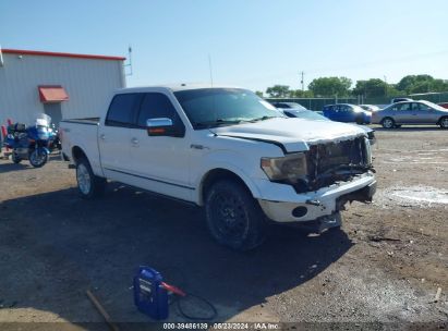 2013 FORD F-150 PLATINUM White  Gasoline 1FTFW1E63DFD68137 photo #1