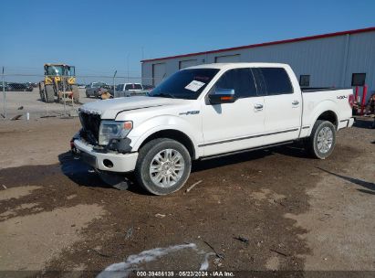 2013 FORD F-150 PLATINUM White  Gasoline 1FTFW1E63DFD68137 photo #3