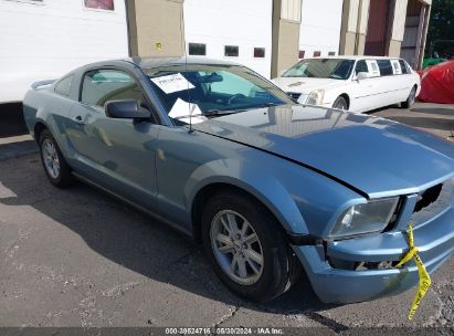 2005 FORD MUSTANG V6 DELUXE/V6 PREMIUM Blue  Gasoline 1ZVFT80NX55158445 photo #1