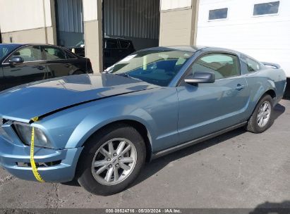 2005 FORD MUSTANG V6 DELUXE/V6 PREMIUM Blue  Gasoline 1ZVFT80NX55158445 photo #3