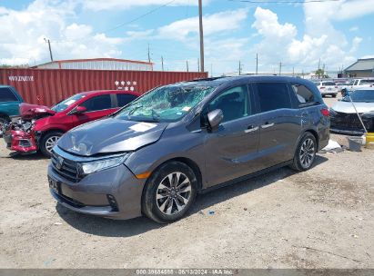 2023 HONDA ODYSSEY EX-L Gray  Gasoline 5FNRL6H62PB053045 photo #3