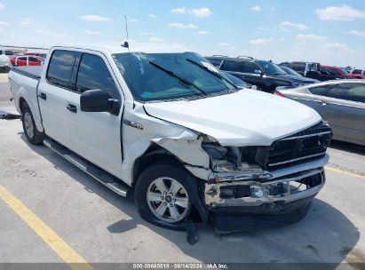 2019 FORD F-150 XLT White  Gasoline 1FTEW1C5XKFA66797 photo #1