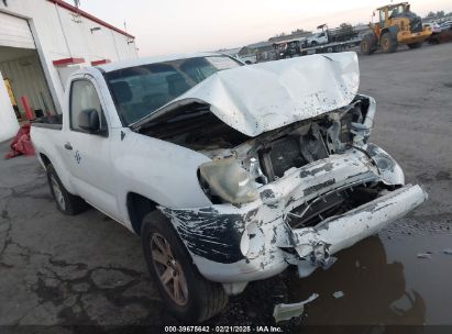 2006 TOYOTA TACOMA White  Gasoline 5TENX22N26Z258437 photo #1