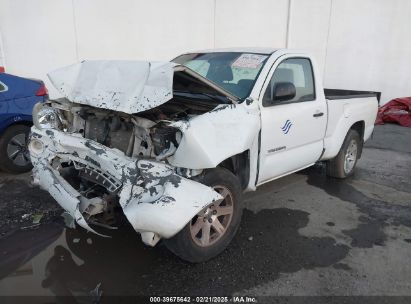 2006 TOYOTA TACOMA White  Gasoline 5TENX22N26Z258437 photo #3