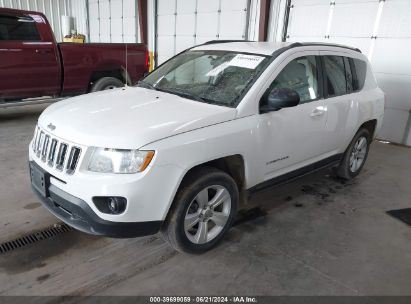 2011 JEEP COMPASS White  Gasoline 1J4NF1FB9BD197517 photo #3