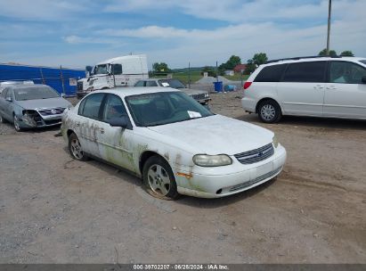 2004 CHEVROLET CLASSIC White  Gasoline 1G1ND52F64M615104 photo #1