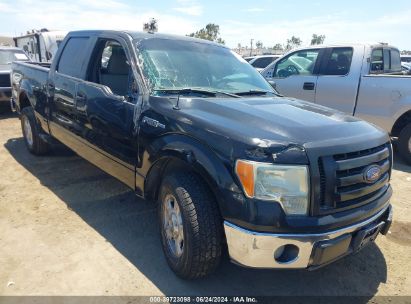 2009 FORD F-150 KING RANCH/LARIAT/PLATINUM/XL/XLT Black  Flexible Fuel 1FTPW12V89FB47155 photo #1