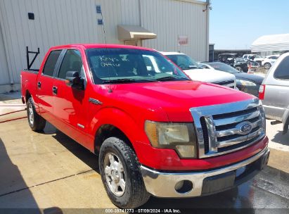 2012 FORD F-150 XLT Red  Gasoline 1FTFW1CT3CKD69500 photo #1