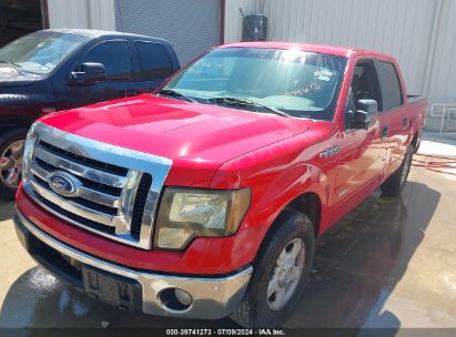 2012 FORD F-150 XLT Red  Gasoline 1FTFW1CT3CKD69500 photo #3