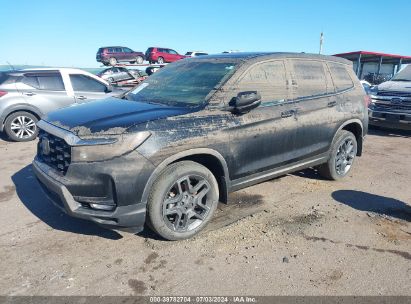 2023 HONDA PASSPORT AWD EX-L Black  Gasoline 5FNYF8H5XPB004634 photo #3