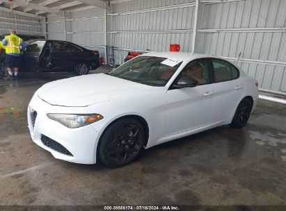 2021 ALFA ROMEO GIULIA RWD White  Gasoline ZARFAMAN6M7638815 photo #3