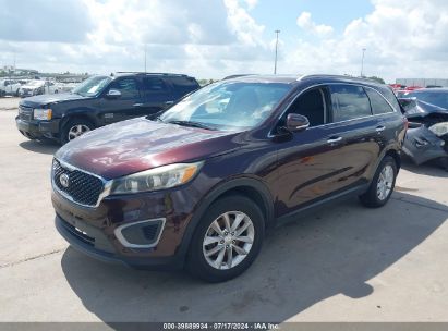 2016 KIA SORENTO 3.3L LX Maroon  Gasoline 5XYPG4A51GG043780 photo #3