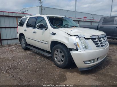 2009 CADILLAC ESCALADE STANDARD White  Flexible Fuel 1GYFC23229R187707 photo #1