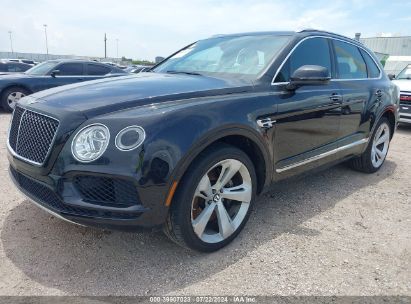 2019 BENTLEY BENTAYGA V8 Black  Gasoline SJAAM2ZV1KC025320 photo #3