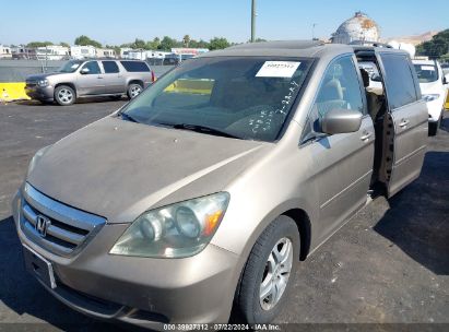 2005 HONDA ODYSSEY EX-L Gold  Gasoline 5FNRL38765B091124 photo #3