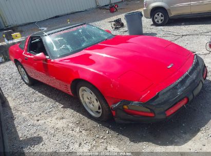 1994 CHEVROLET CORVETTE Red  Gasoline 1G1YY22P4R5116070 photo #1