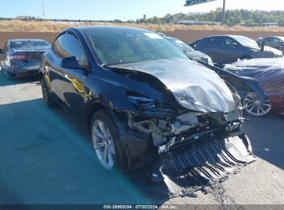 2024 TESLA MODEL Y LONG RANGE DUAL MOTOR ALL-WHEEL DRIVE Gray  Electric 7SAYGDEE0RF065345 photo #1