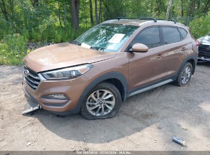 2017 HYUNDAI TUCSON SE Brown  Gasoline KM8J33A44HU523584 photo #3