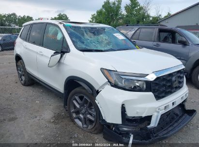 2023 HONDA PASSPORT AWD EX-L White  Gasoline 5FNYF8H5XPB029789 photo #1