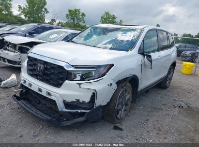 2023 HONDA PASSPORT AWD EX-L White  Gasoline 5FNYF8H5XPB029789 photo #3