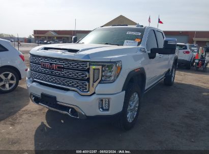 2023 GMC SIERRA 2500HD 4WD  STANDARD BED DENALI White  Diesel 1GT49REY0PF251652 photo #3