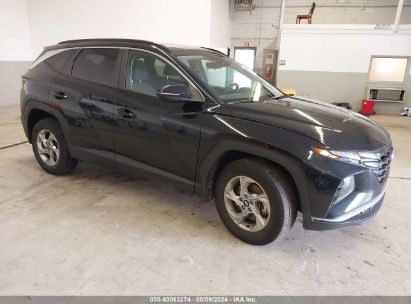 2022 HYUNDAI TUCSON SEL Black  Gasoline 5NMJBCAE4NH144376 photo #1