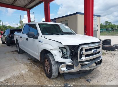 2015 FORD F-150 XLT White  Gasoline 1FTEW1CF9FFA73013 photo #1