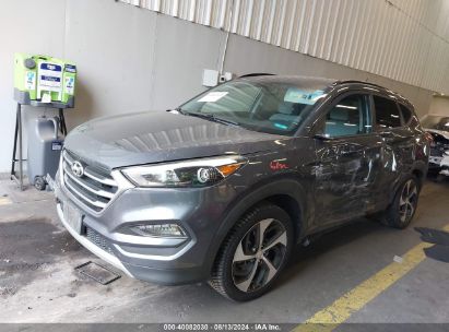 2017 HYUNDAI TUCSON VALUE Gray  Gasoline KM8J3CA2XHU551212 photo #3