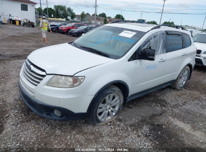 2008 SUBARU TRIBECA LIMITED 5-PASSENGER White  Gasoline 4S4WX93D884401658 photo #3