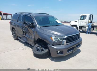 2021 TOYOTA SEQUOIA TRD SPORT Black  Gasoline 5TDCY5A12MS075618 photo #1