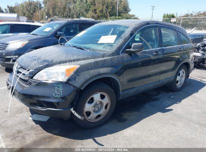 2011 HONDA CR-V LX Black  Gasoline JHLRE3H37BC013549 photo #3