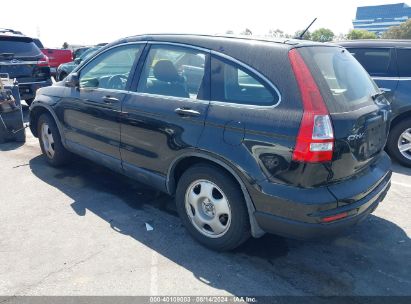 2011 HONDA CR-V LX Black  Gasoline JHLRE3H37BC013549 photo #4