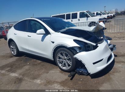 2024 TESLA MODEL Y White  Electric 7SAYGDED5RF015600 photo #1